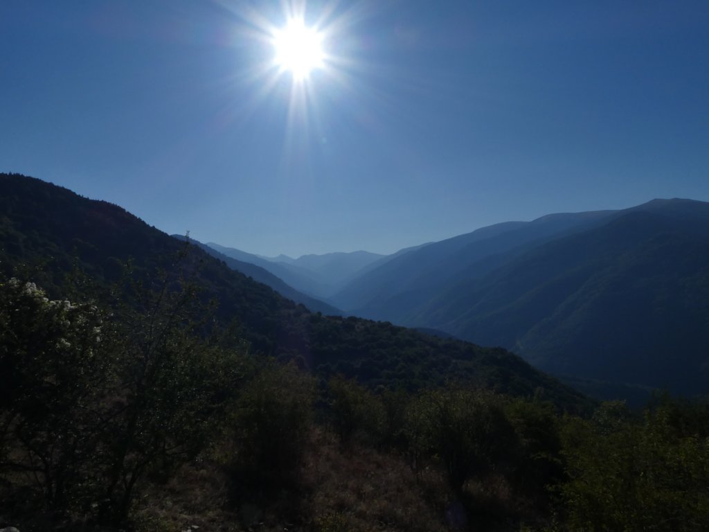 photo6.jpg