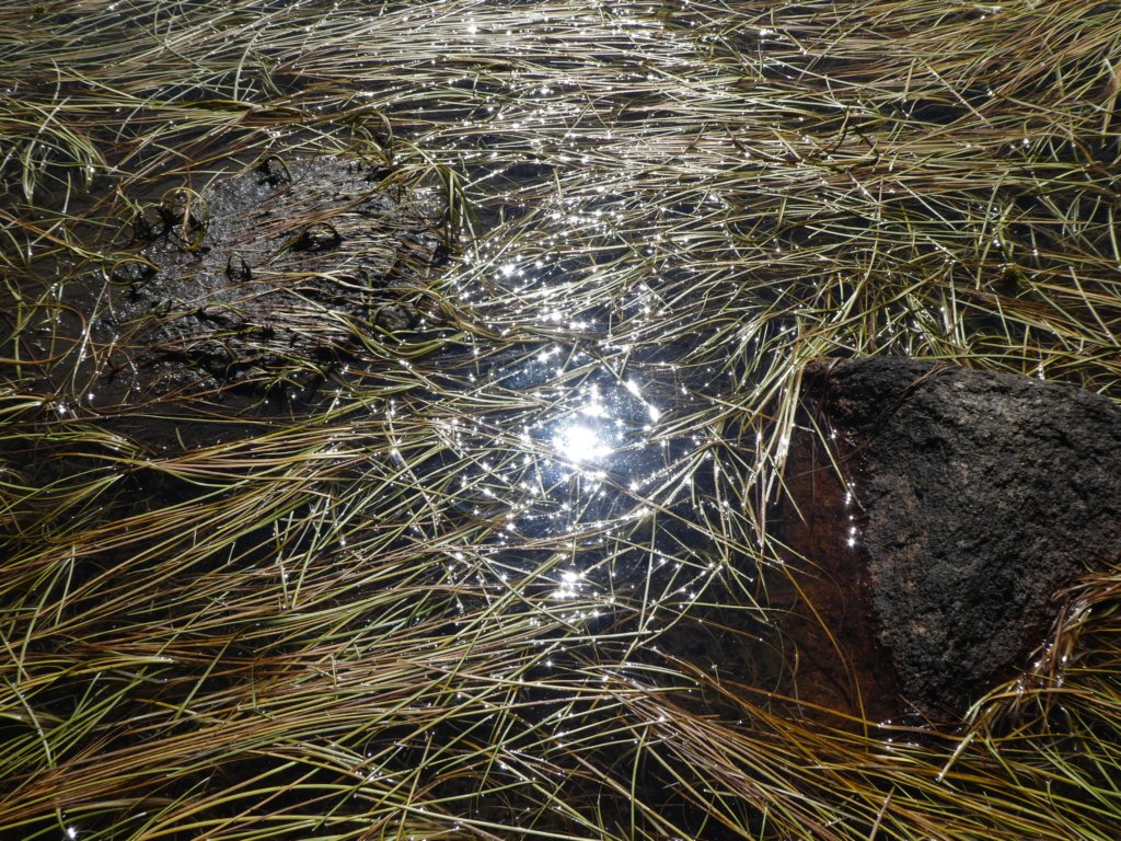 photo61.jpg