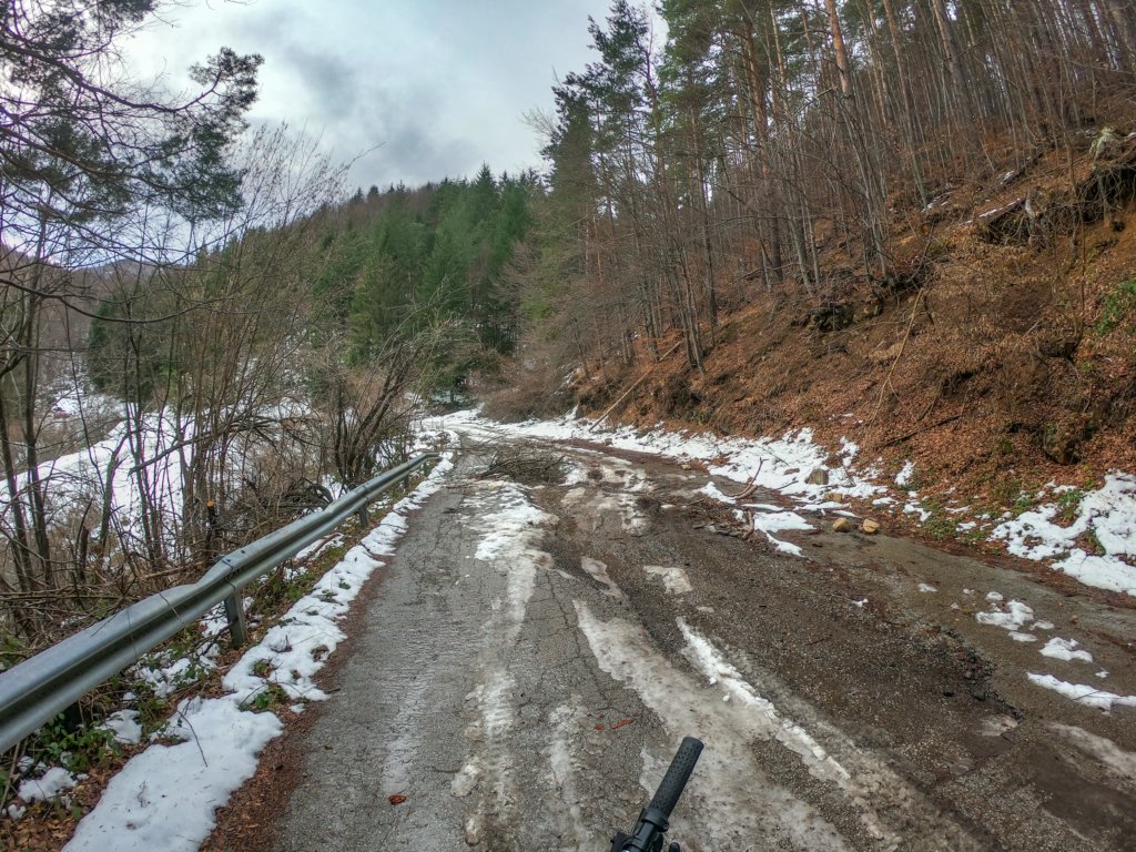 photo17.jpg