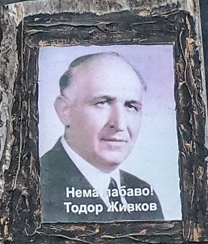 photo7.jpg