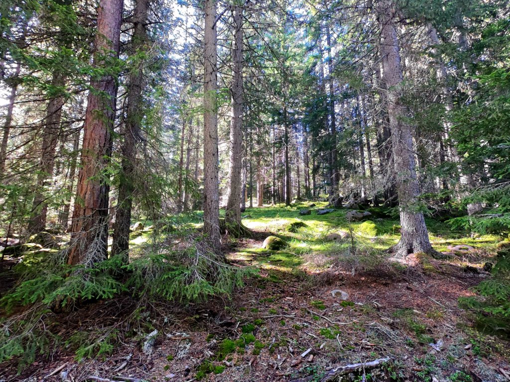 photo81.jpg