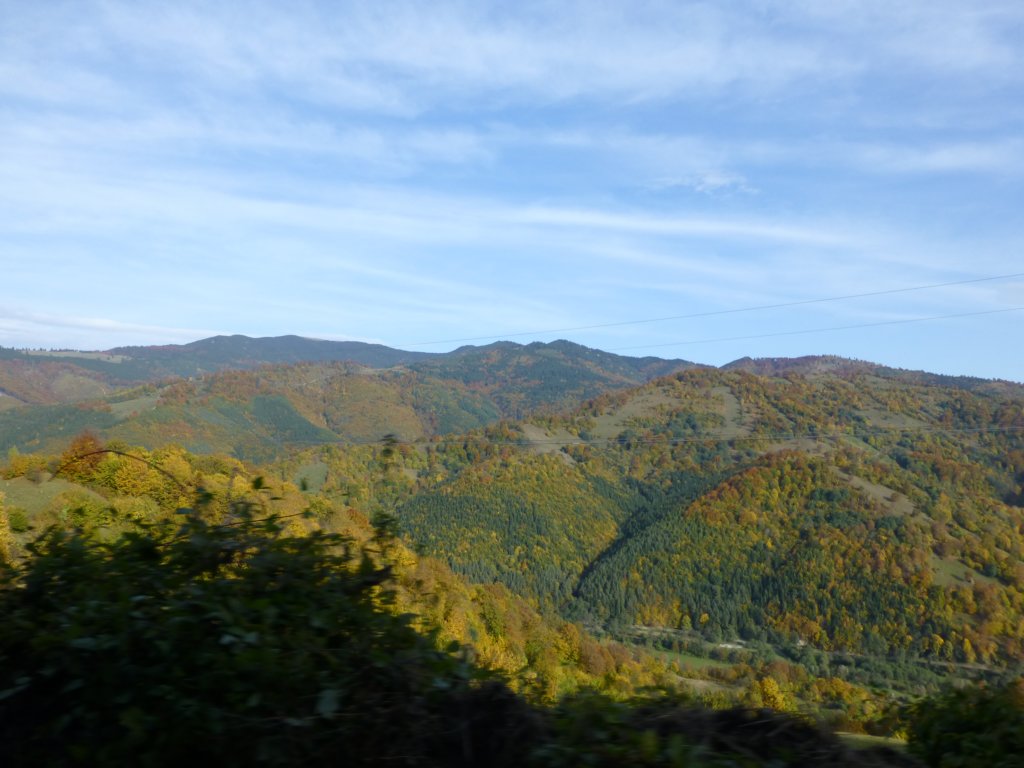 photo10.jpg