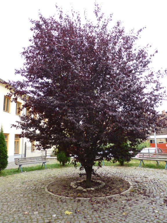 photo112.jpg