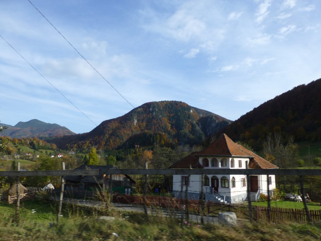 photo17.jpg