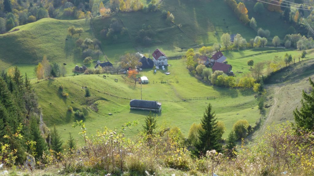 photo20.jpg