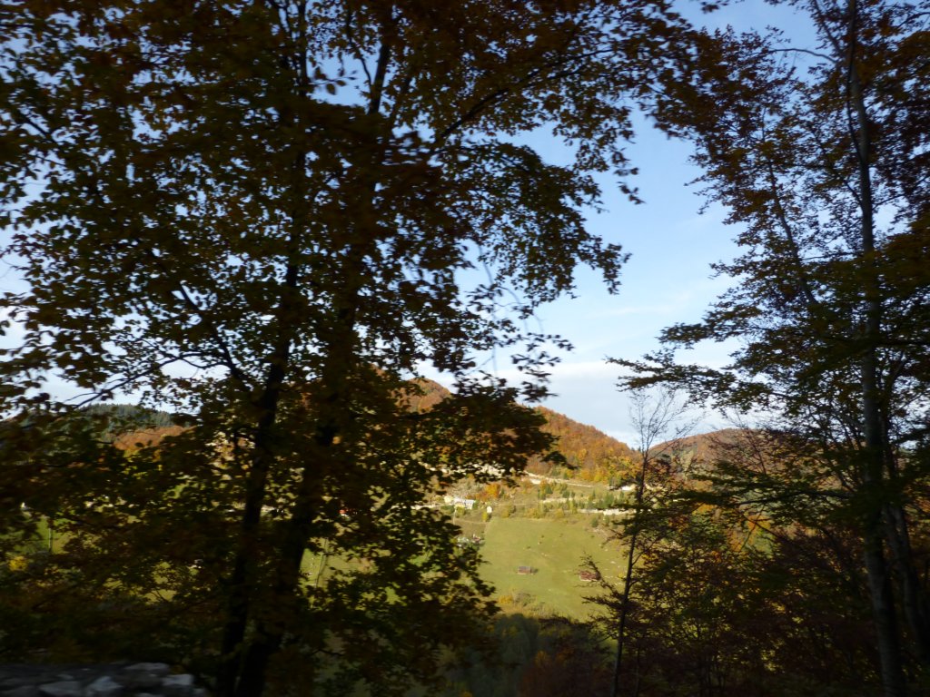 photo40.jpg