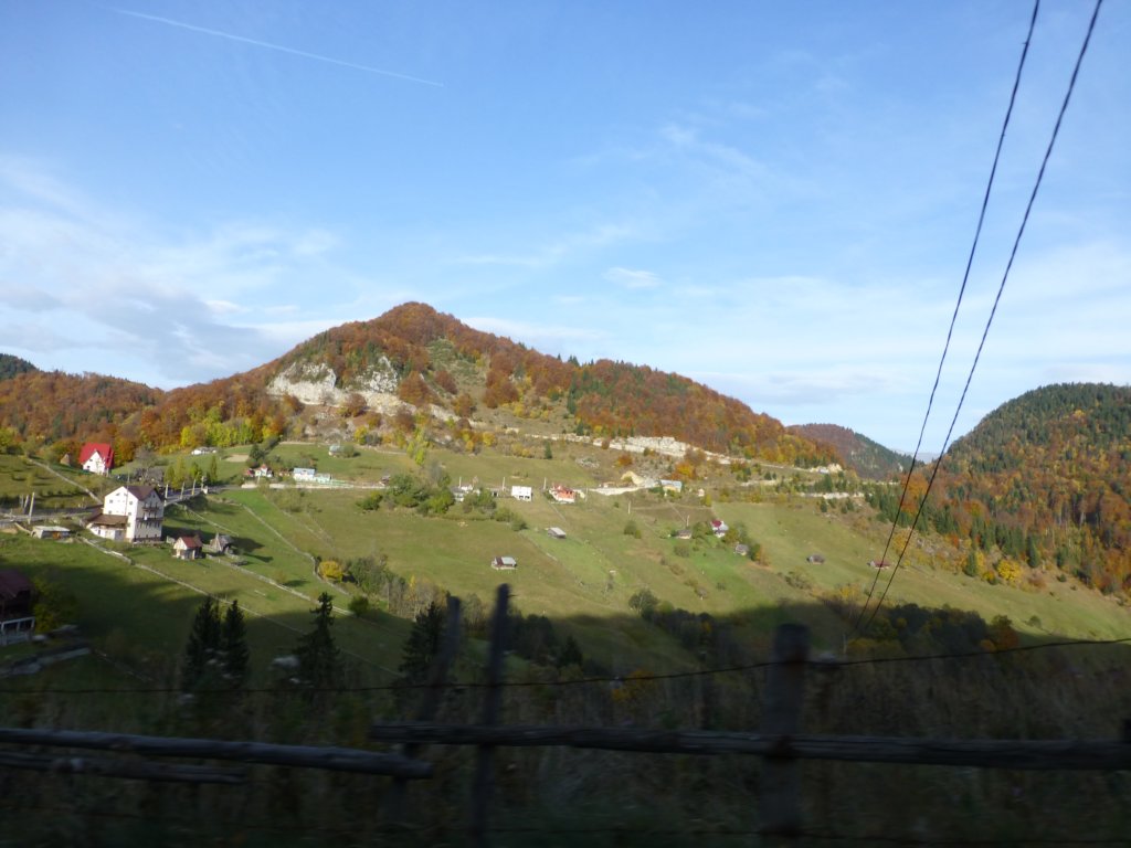 photo41.jpg