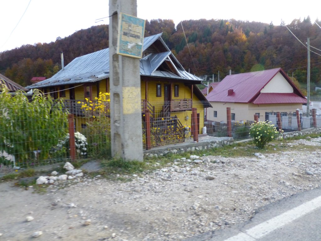 photo43.jpg