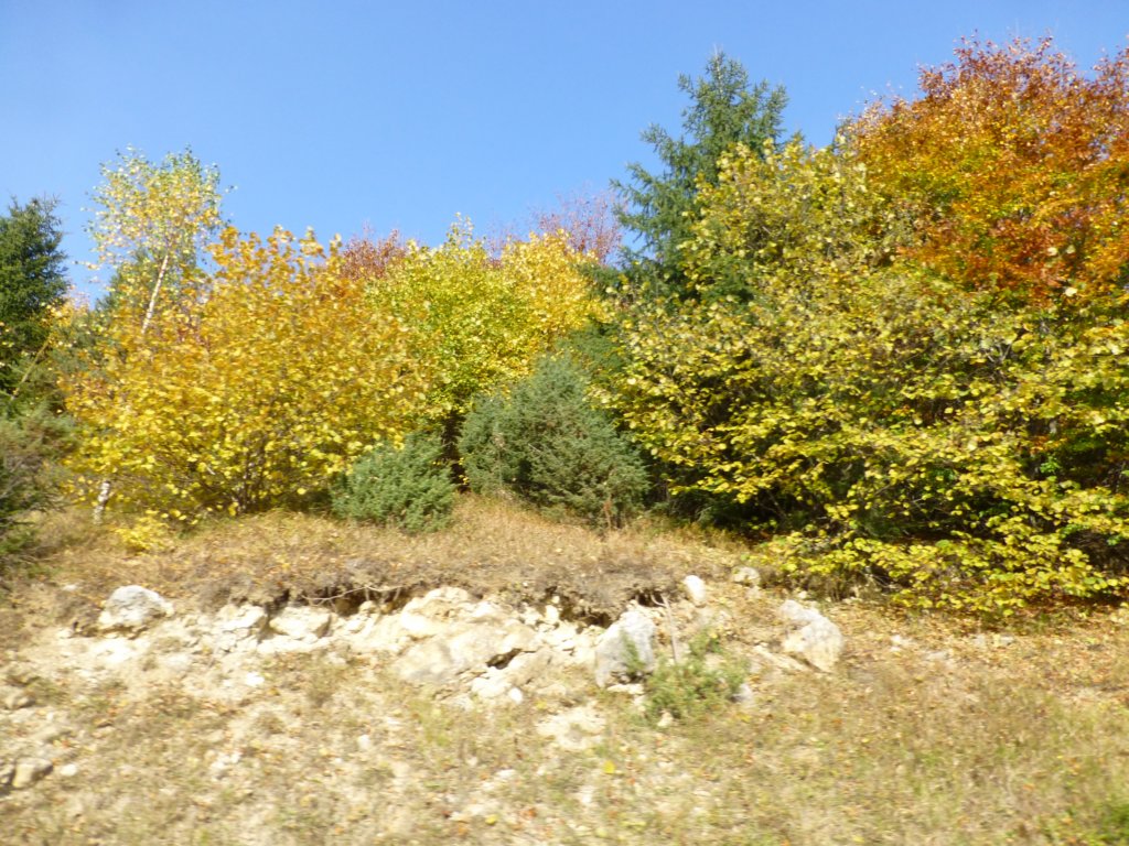 photo46.jpg