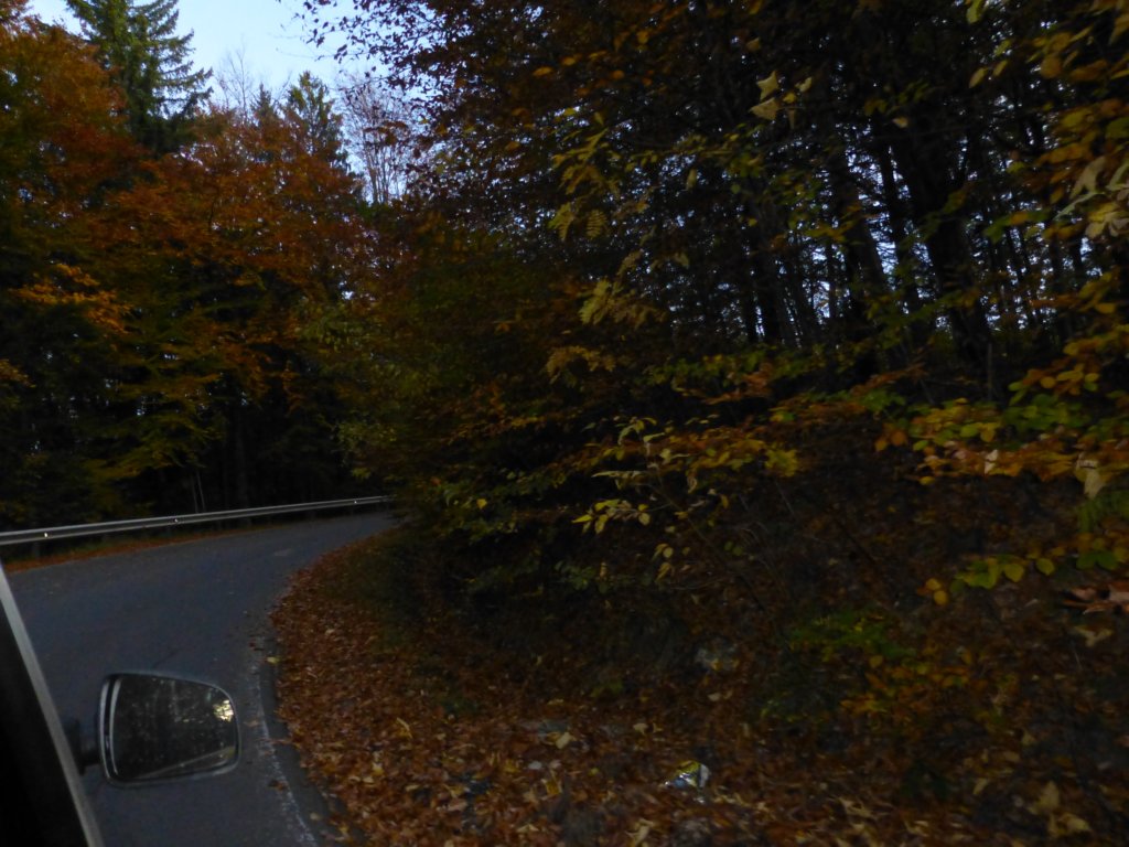 photo61.jpg