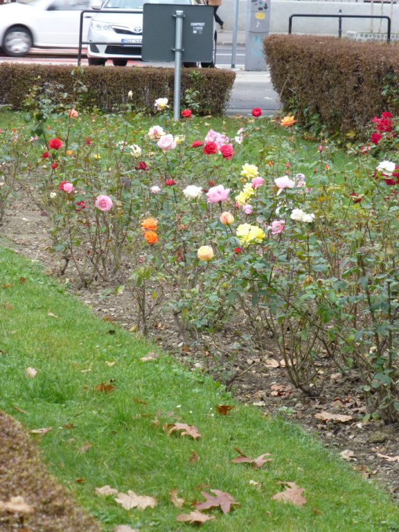 photo77.jpg