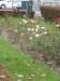 photo77_small.jpg