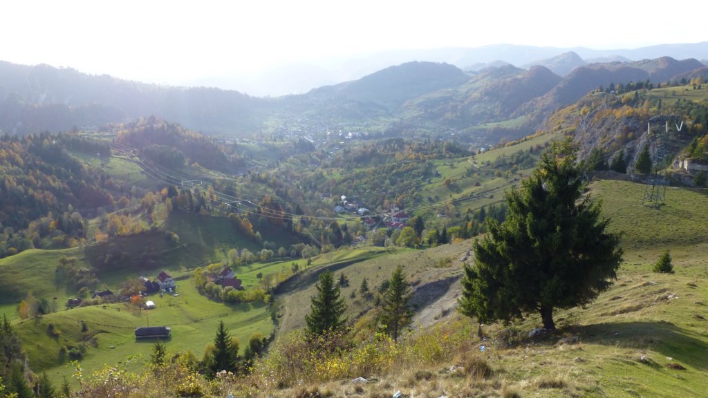podudambovitei.jpg