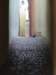 stradasforiitheropestreetbrasov2_small.jpg