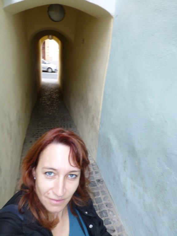 stradasforiitheropestreetbrasov5.jpg