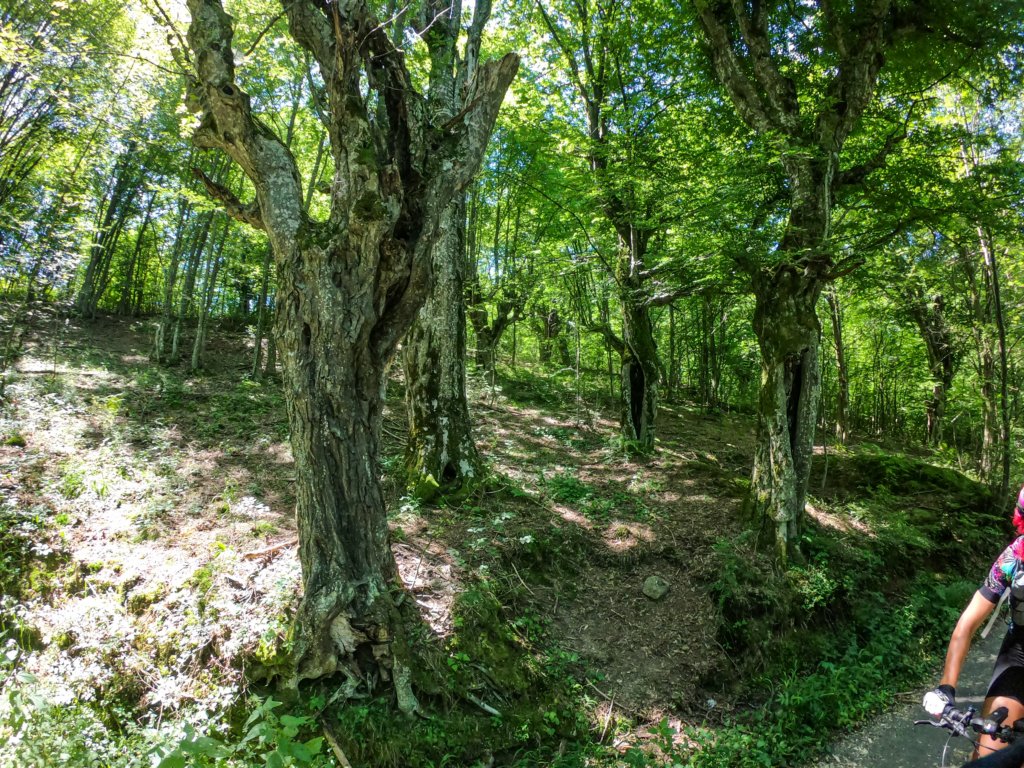photo13.jpg