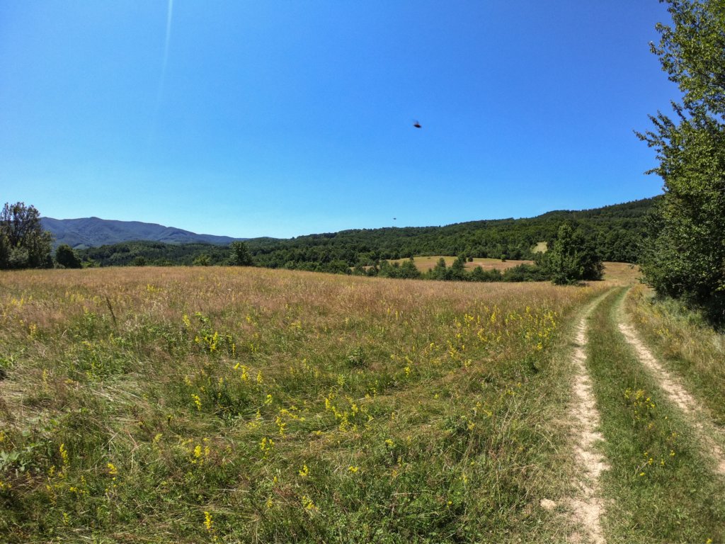 photo17.jpg