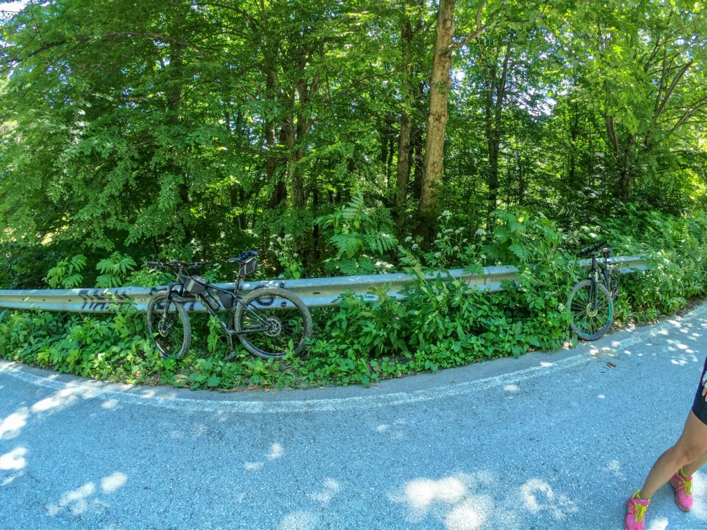 photo21.jpg
