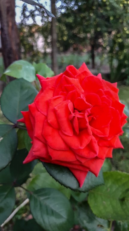 photo4.jpg