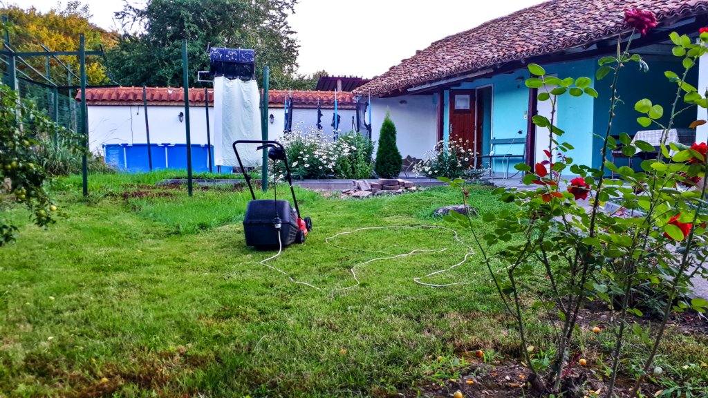 photo6.jpg