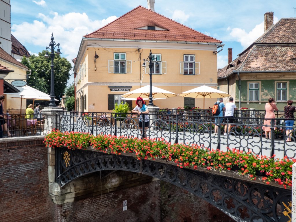 photo15.jpg
