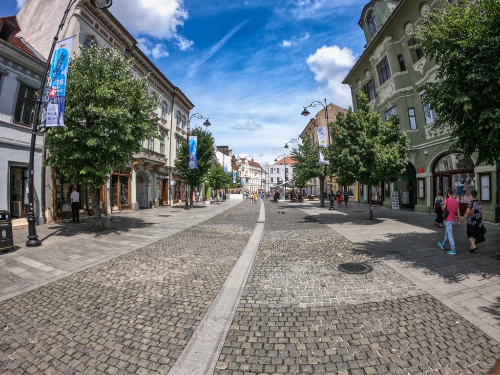 photo3.jpg