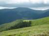 photo116_small.jpg
