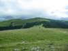 photo137_small.jpg