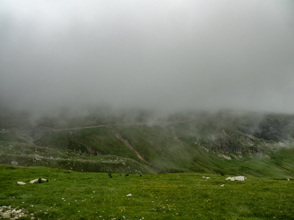 photo72.jpg