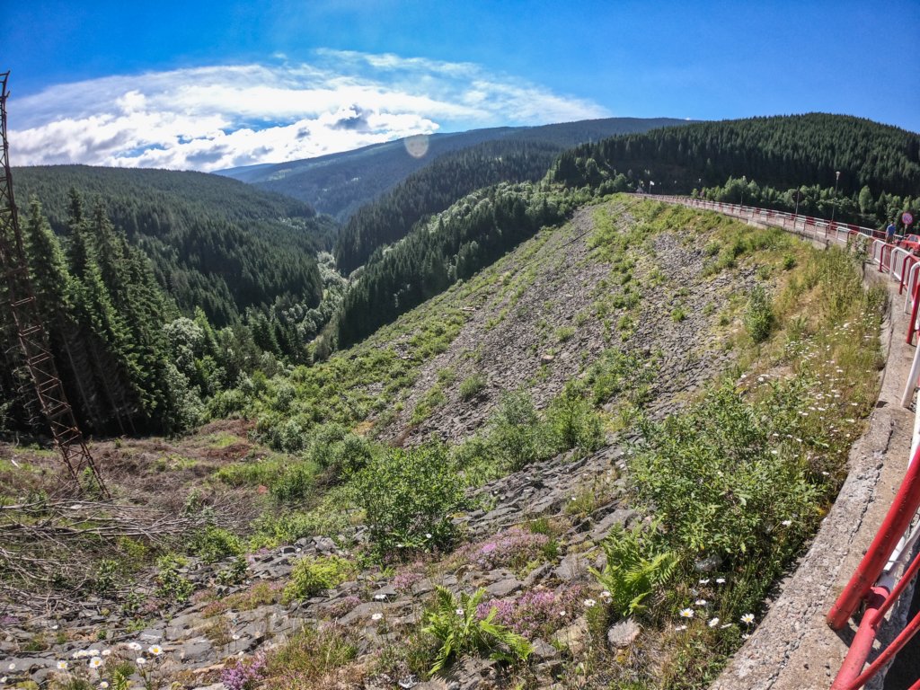 photo.jpg