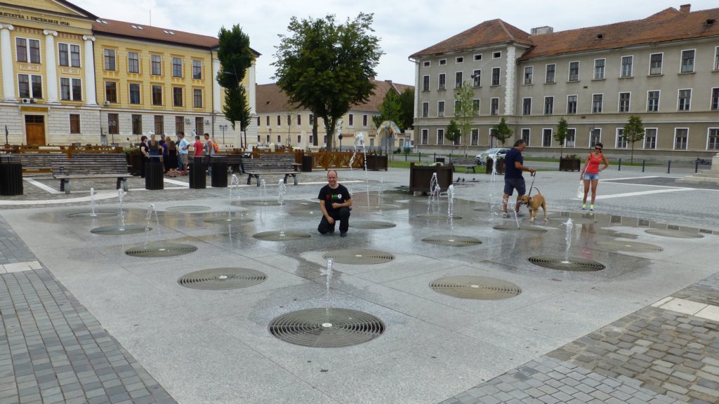 ivobivocetateaalbacarolina.jpg