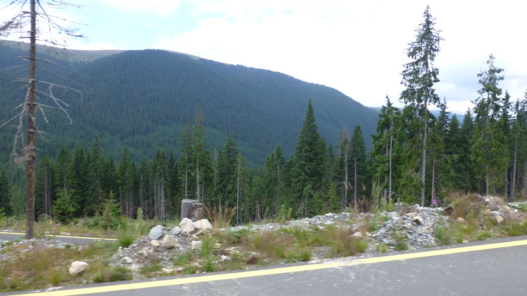 transalpina119.jpg