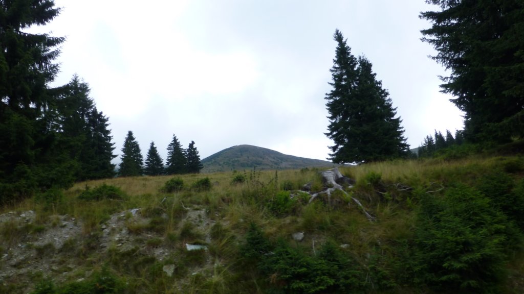 transalpina121.jpg