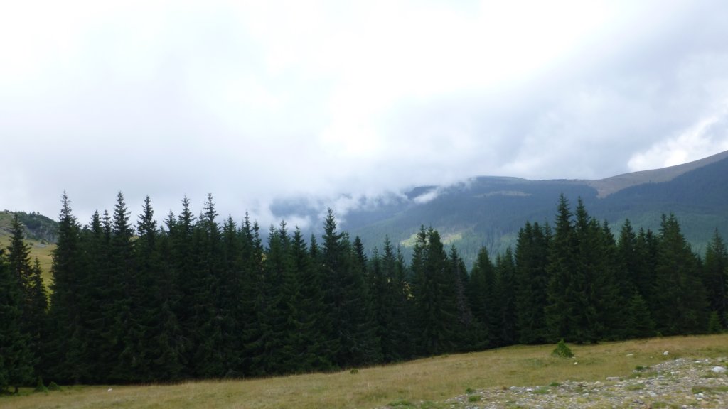 transalpina124.jpg