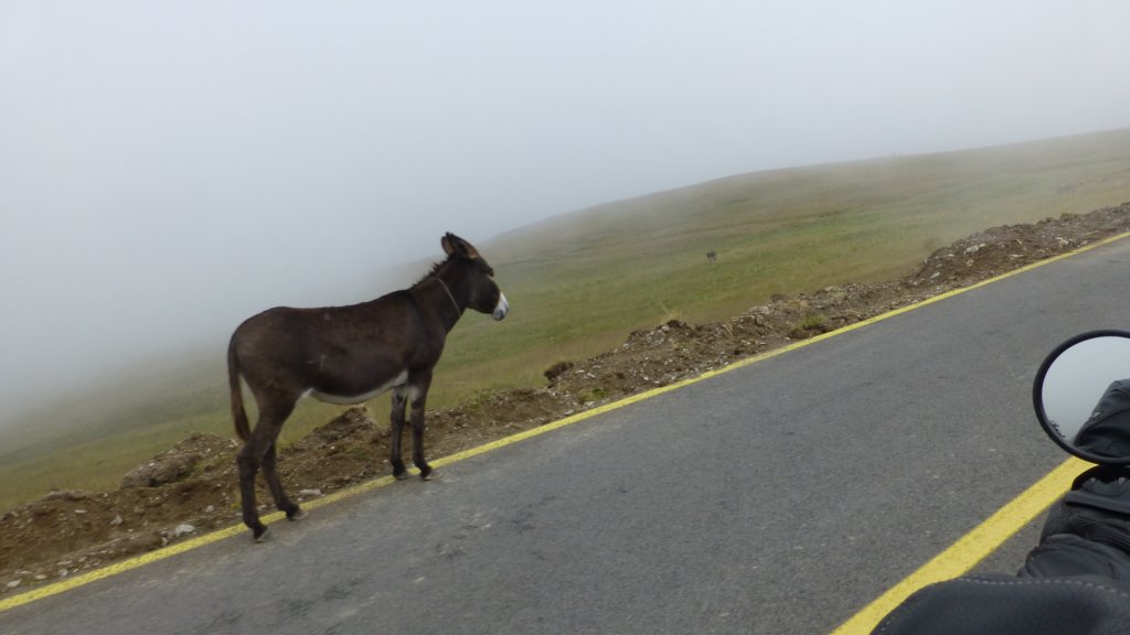 transalpina132.jpg