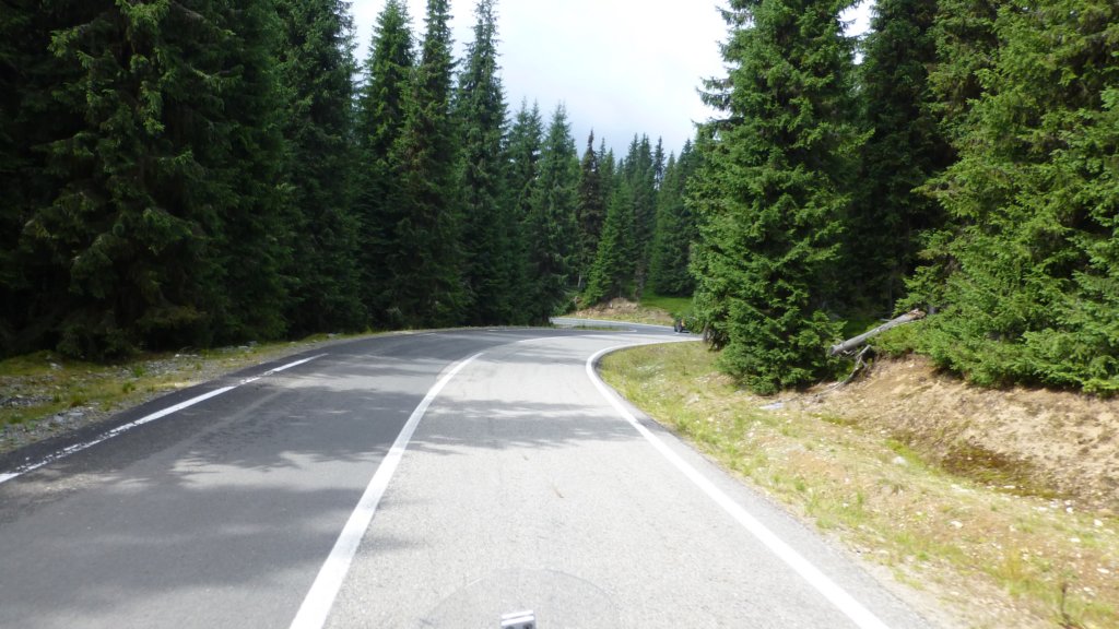 transalpina82.jpg