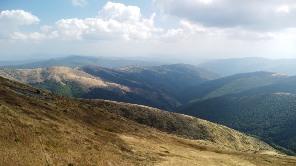 photo21.jpg