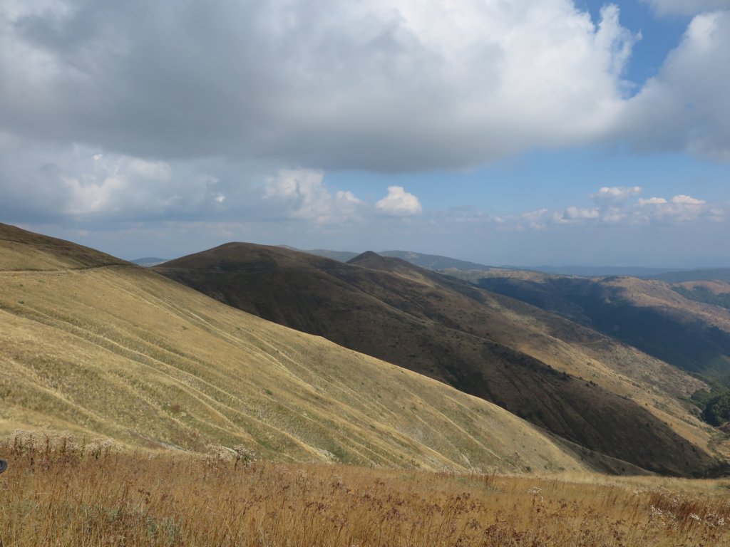 photo23.jpg
