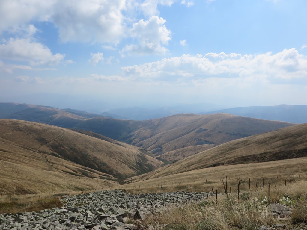 photo26.jpg