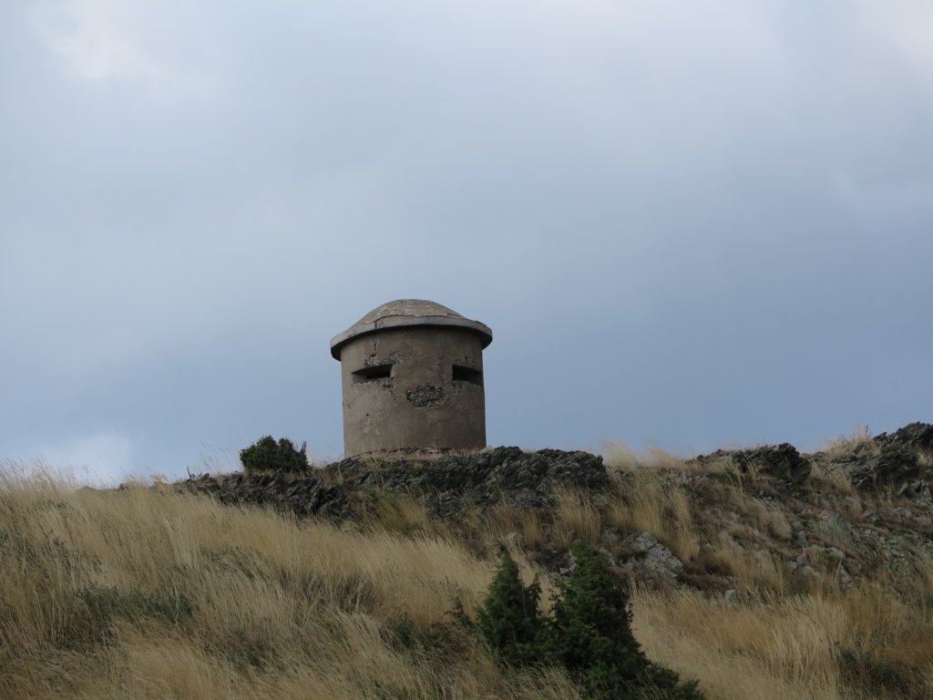 photo46.jpg