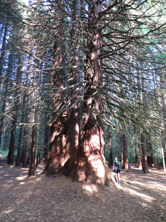 photo8.jpg