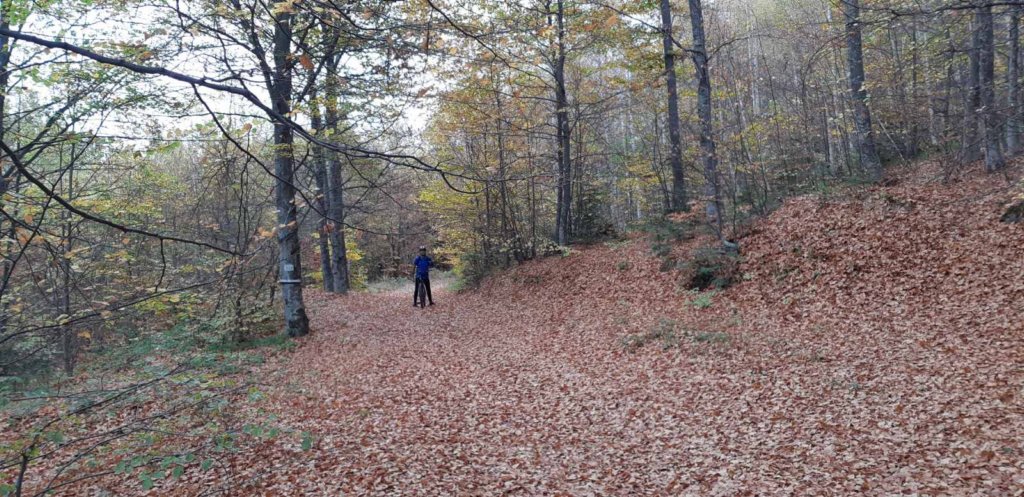 photo14.jpg