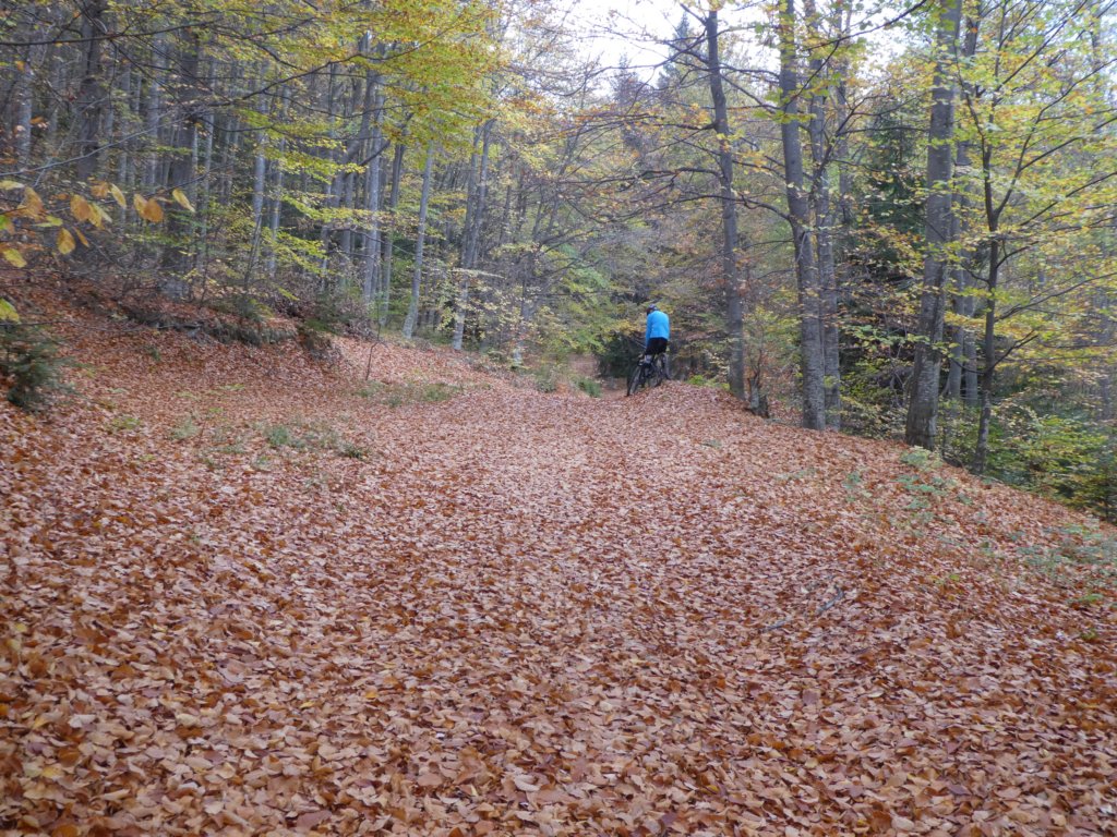 photo18.jpg