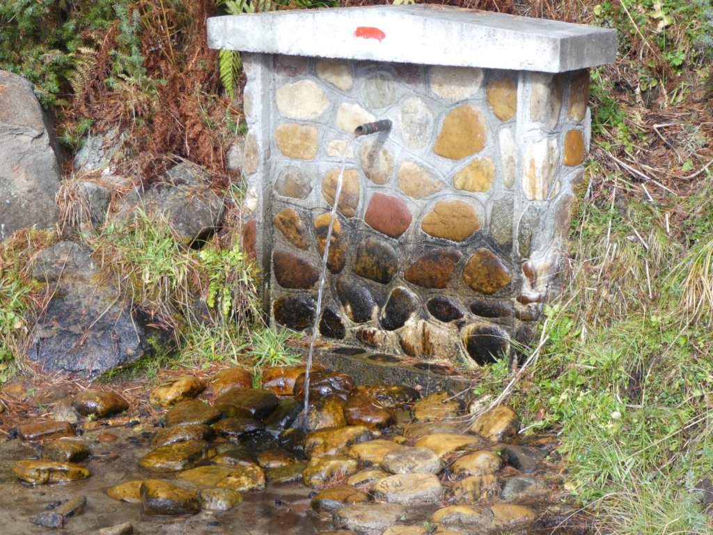 photo33.jpg