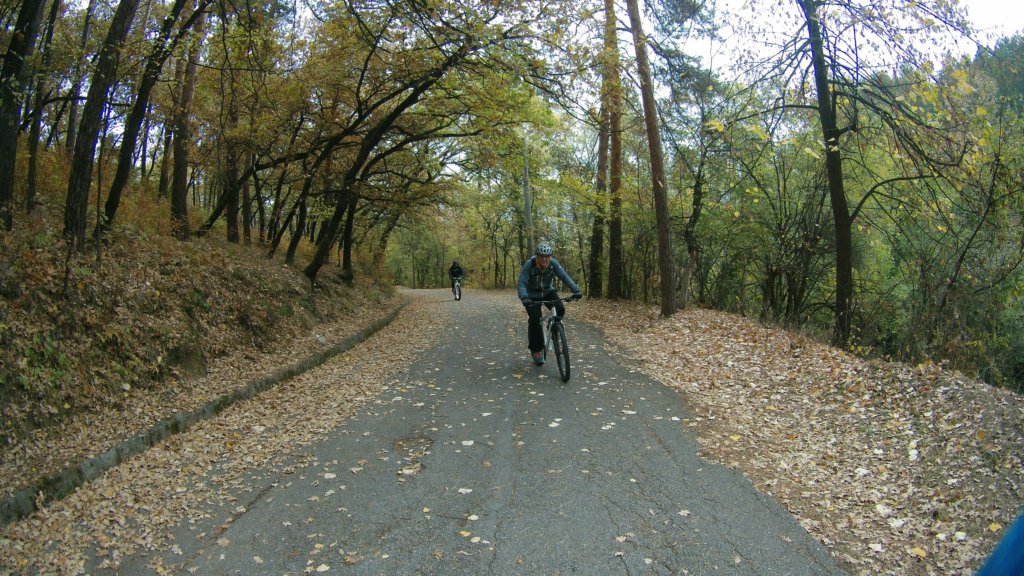 photo4.jpg