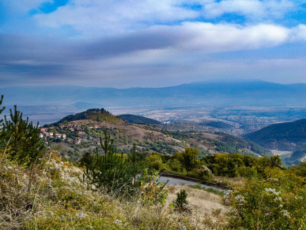 photo3.jpg