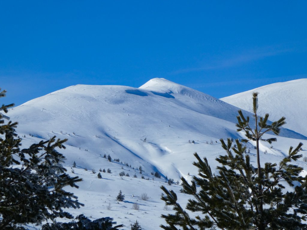 photo35.jpg