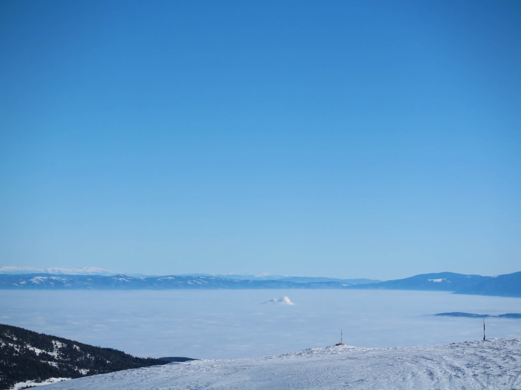 photo20.jpg