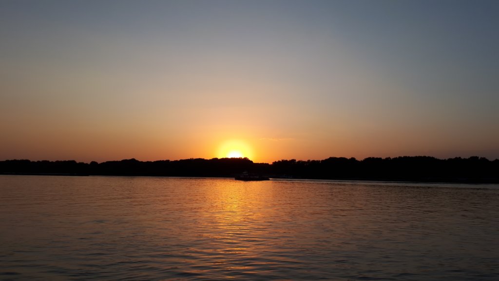 photo39.jpg