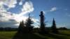 photo66_small.jpg